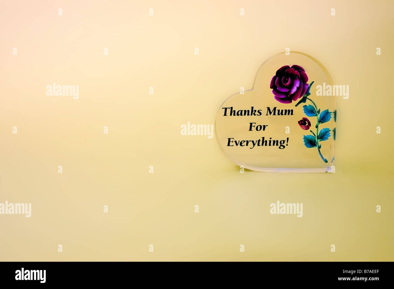 Heart shaped object showing a message to mother with a red rose on mothers day. Stock Photo