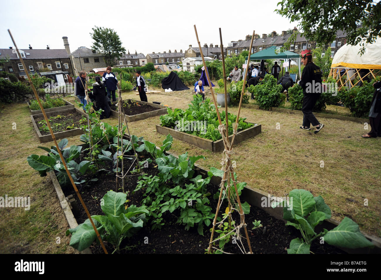 Allotment site with vegetables in the Summer, Bradford Stock Photo