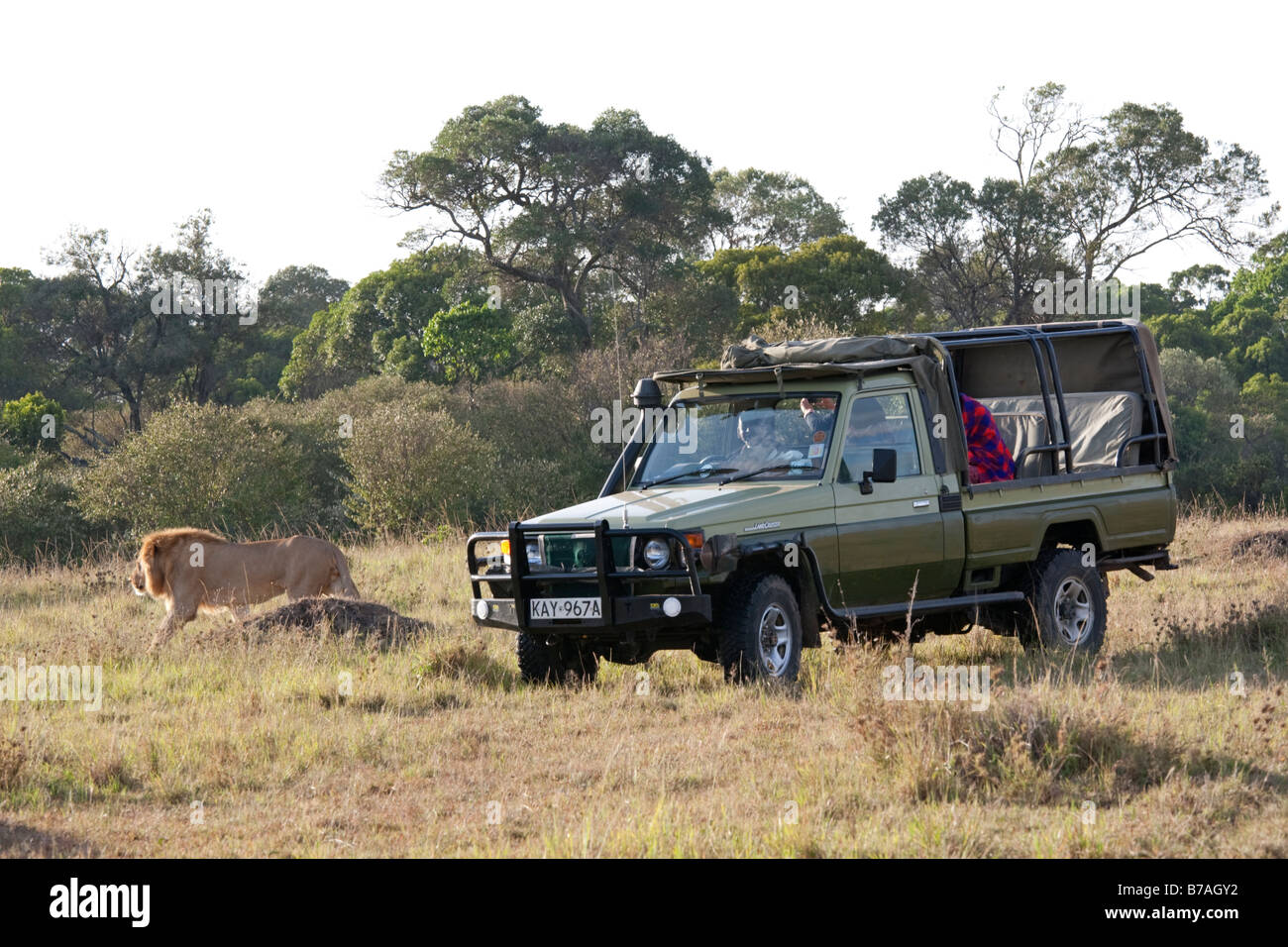 Tourists game viewing from vehicles Masai Mara North Reserve Kenya Stock Photo