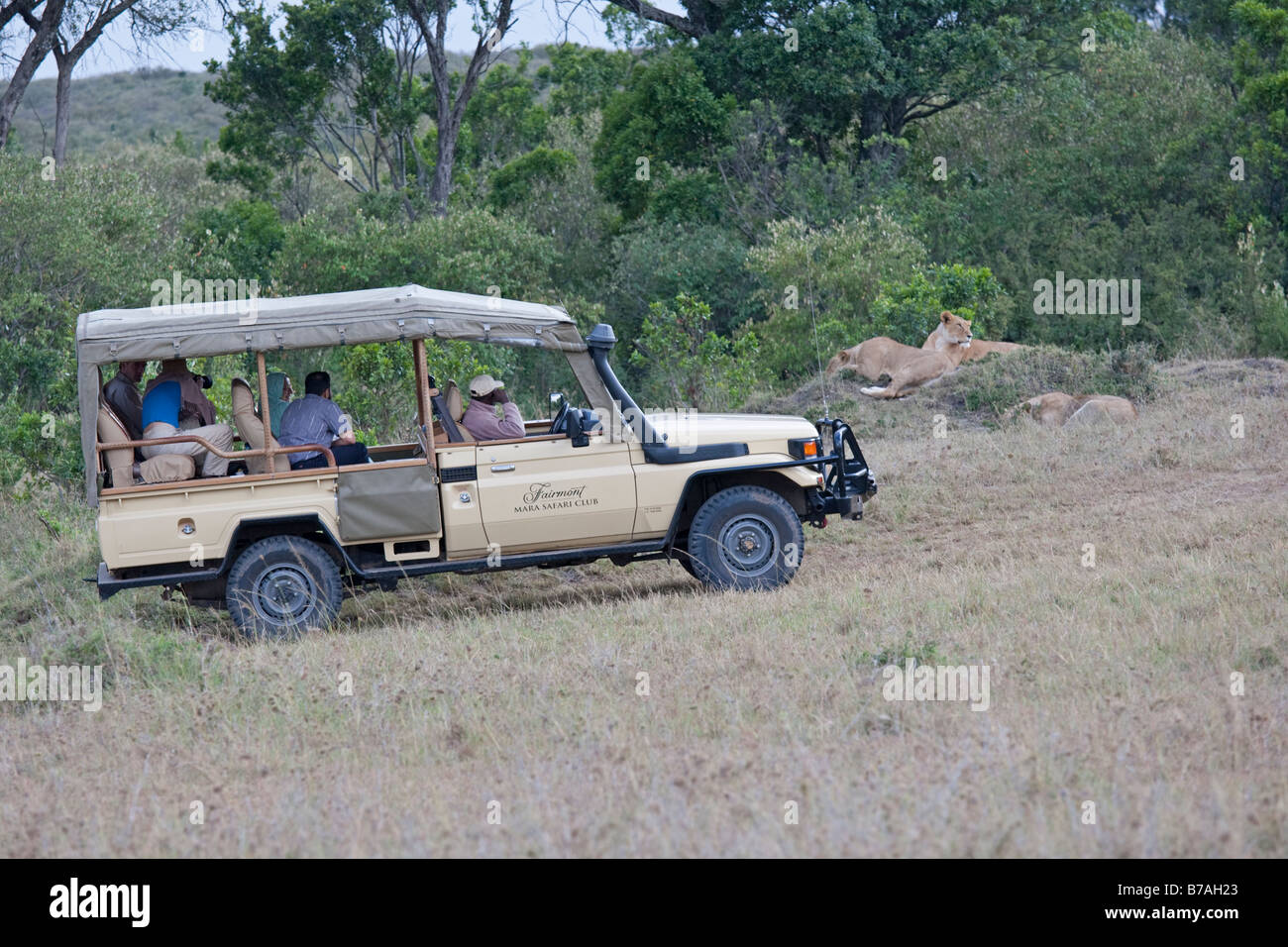 Tourists game viewing from vehicles Masai Mara North Reserve Kenya Stock Photo