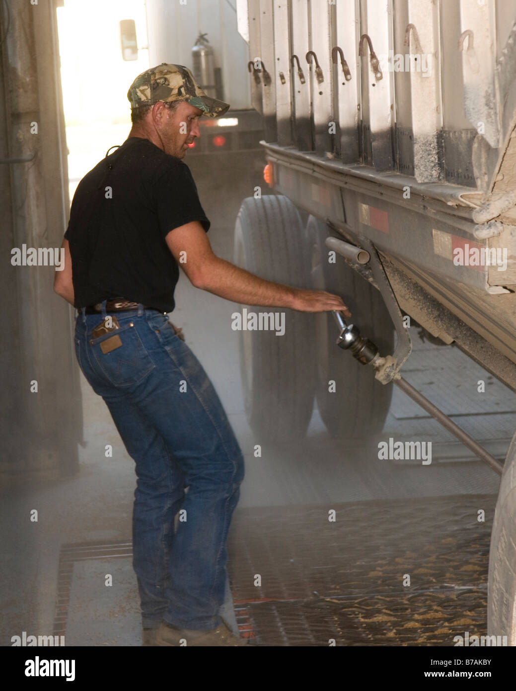 A grain truck driver works to unload wheat into a grain elevator during