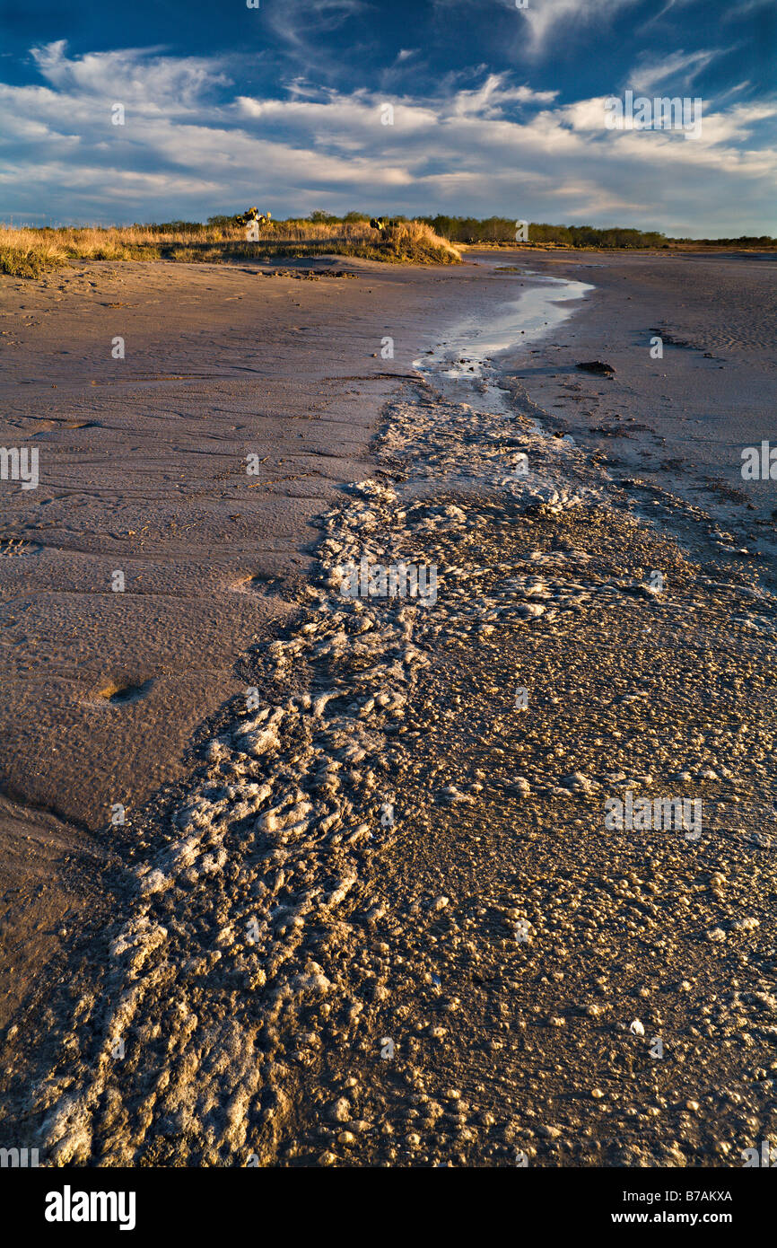 Warm light at a salt lake in southern Texas, United States Stock Photo