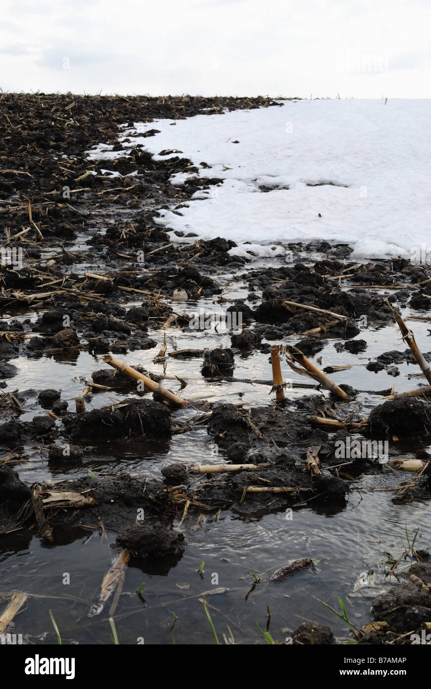 Farm runoff at snow melt Stock Photo Alamy