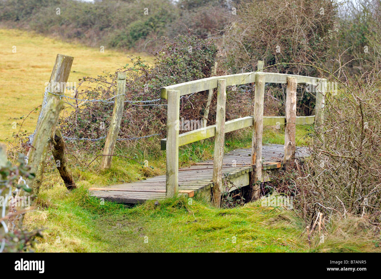a rickety tumbledown old wooden bridge footbridge on a country stock