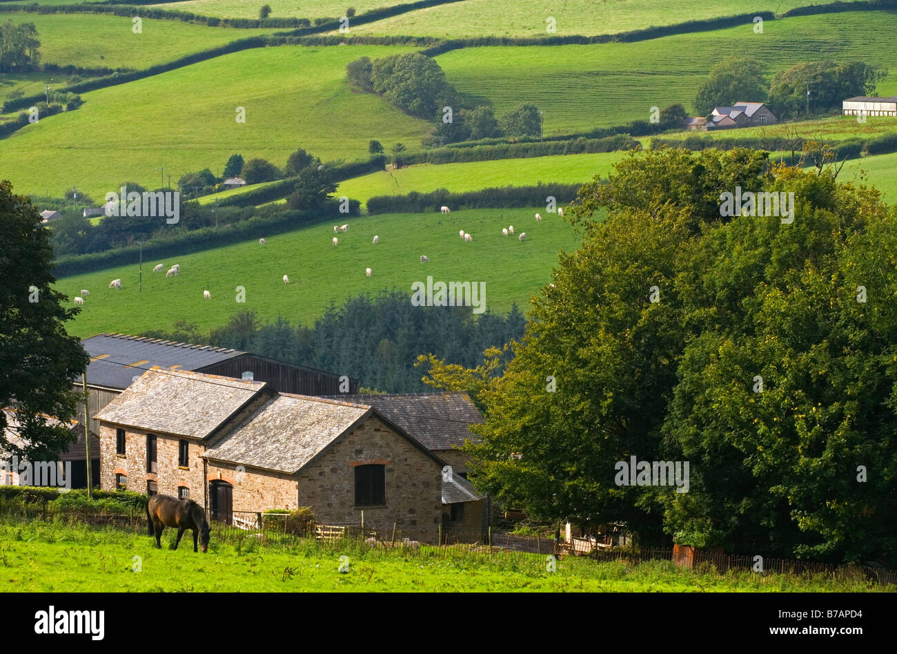 View of farmland and countryside at Arlington near Barnstaple in North Devon England UK Stock Photo