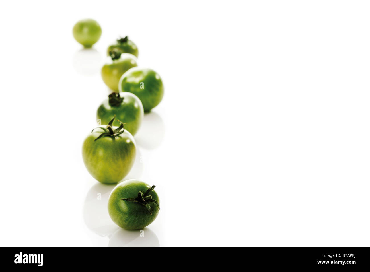 Green vine tomatoes Stock Photo
