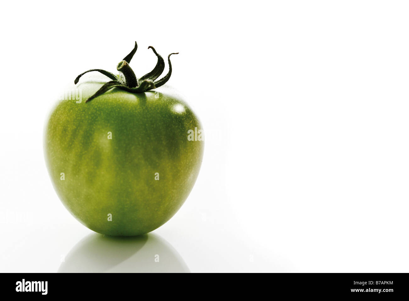Green vine tomato Stock Photo