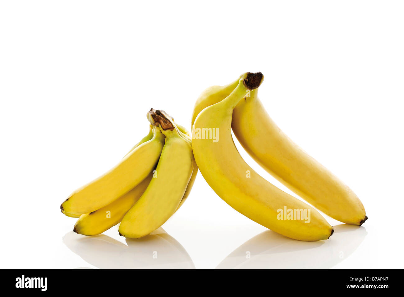 Baby bananas and bananas Stock Photo