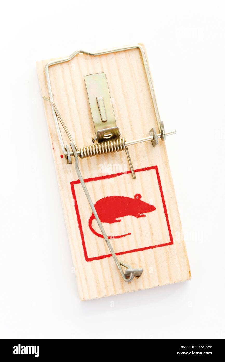 Mousetrap Stock Photo
