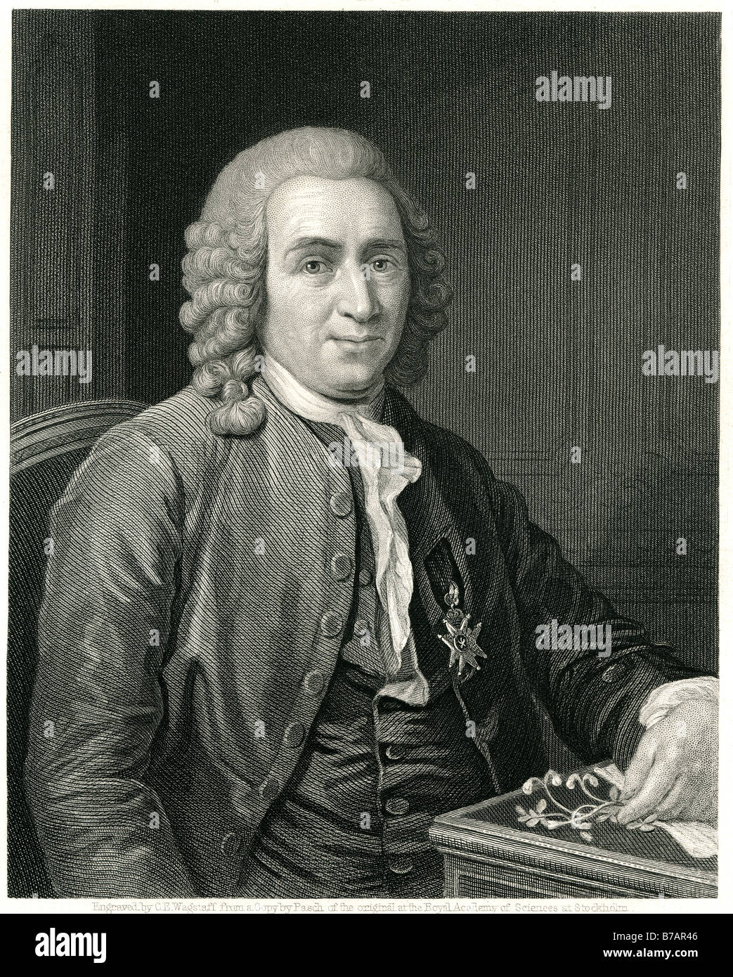 Carl Linnaeus (Latinized as Carolus Linnaeus, also known after his ennoblement as  Carl von Linné (help·info), May 23 [O.S. May Stock Photo