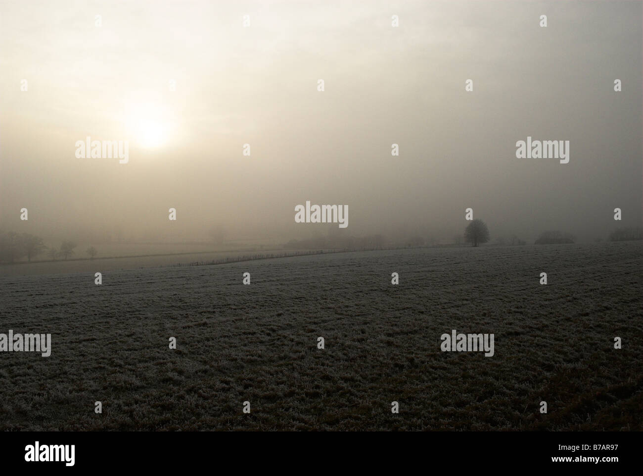 Ploughed field frost land hi-res stock photography and images - Alamy