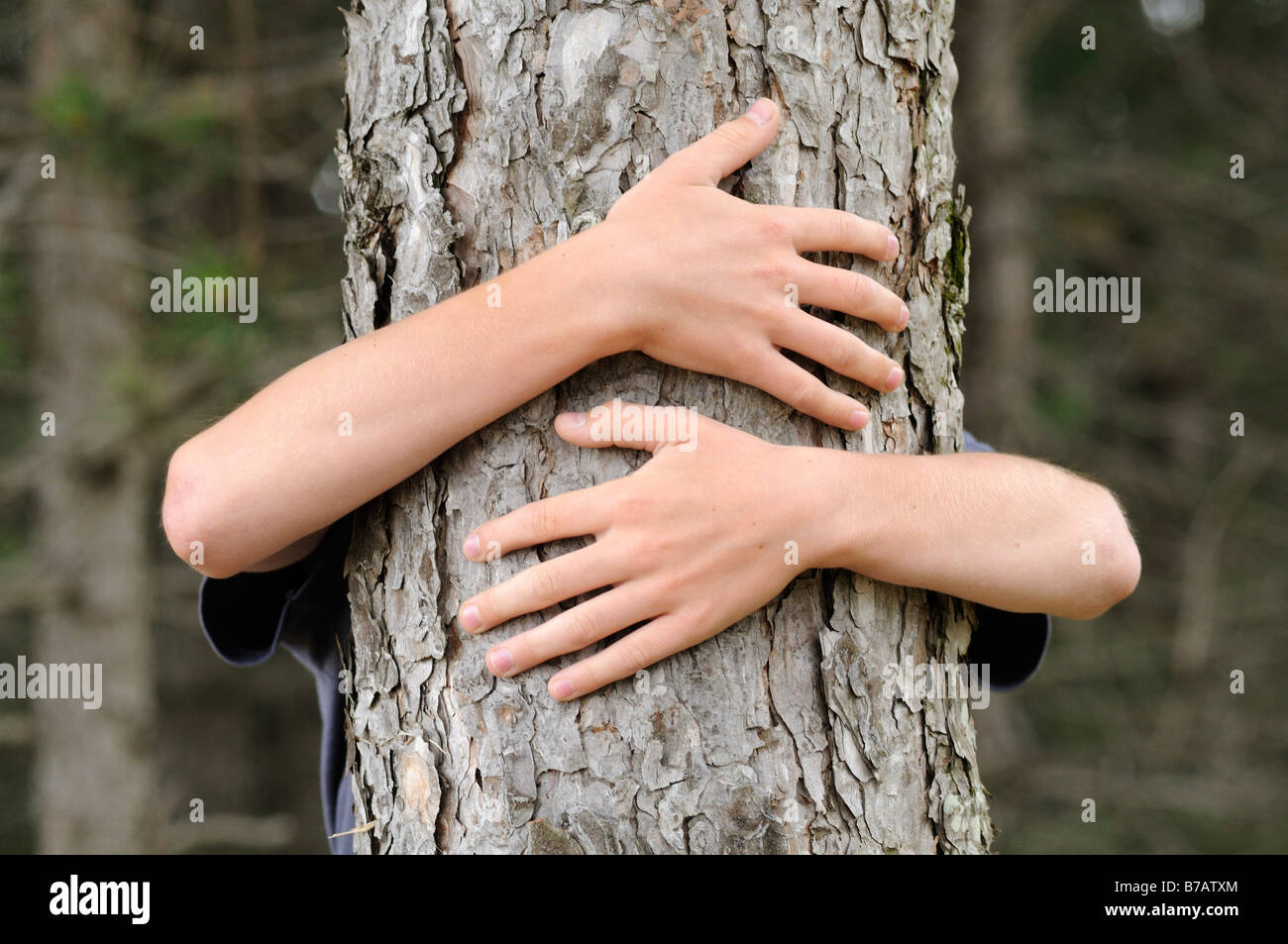 Boy Hugging Tree Stock Photo Alamy