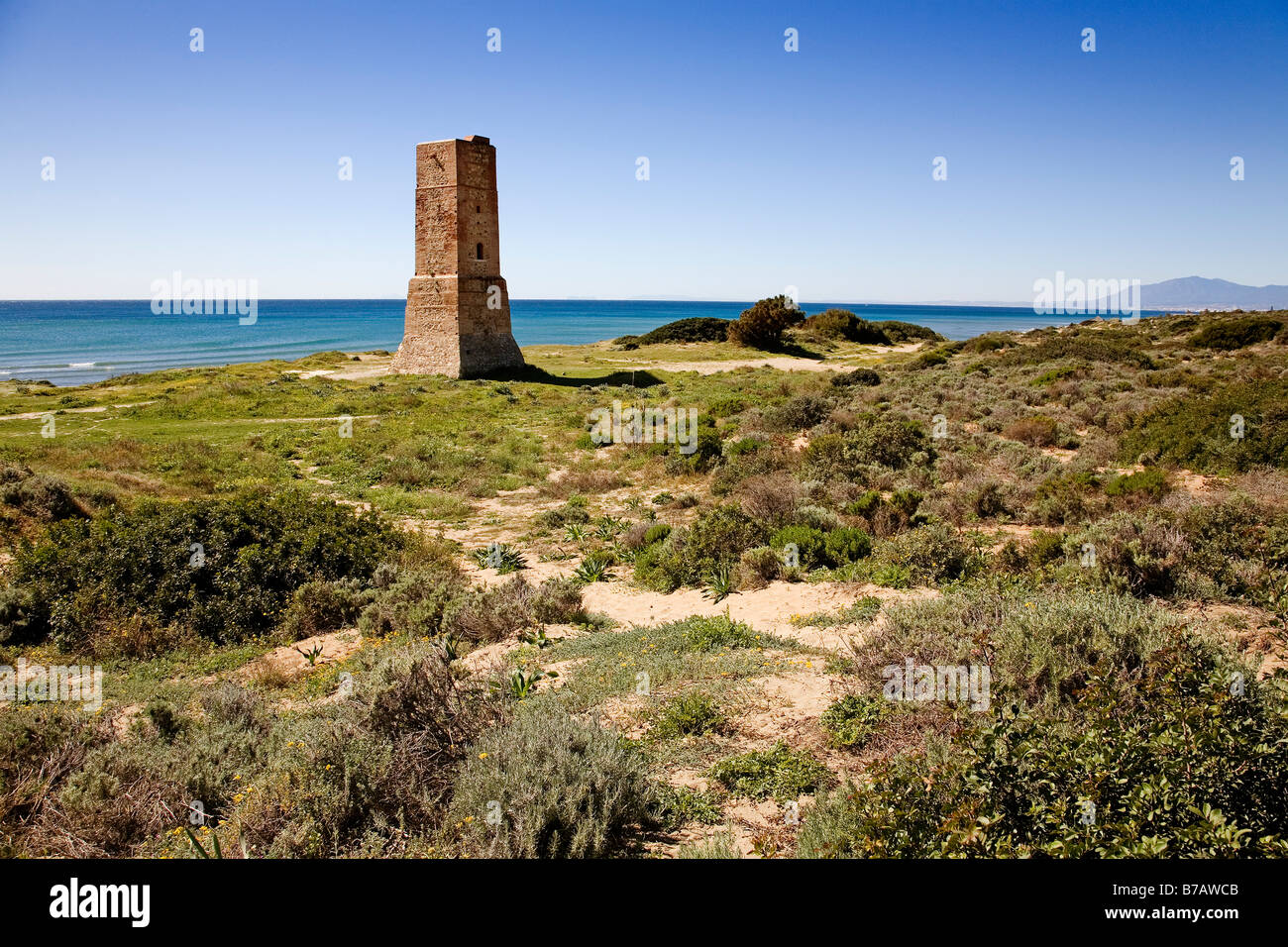 Cabopino beaches and dunes natural Monument Marbella Malaga sun coast Andalusia Spain Stock Photo