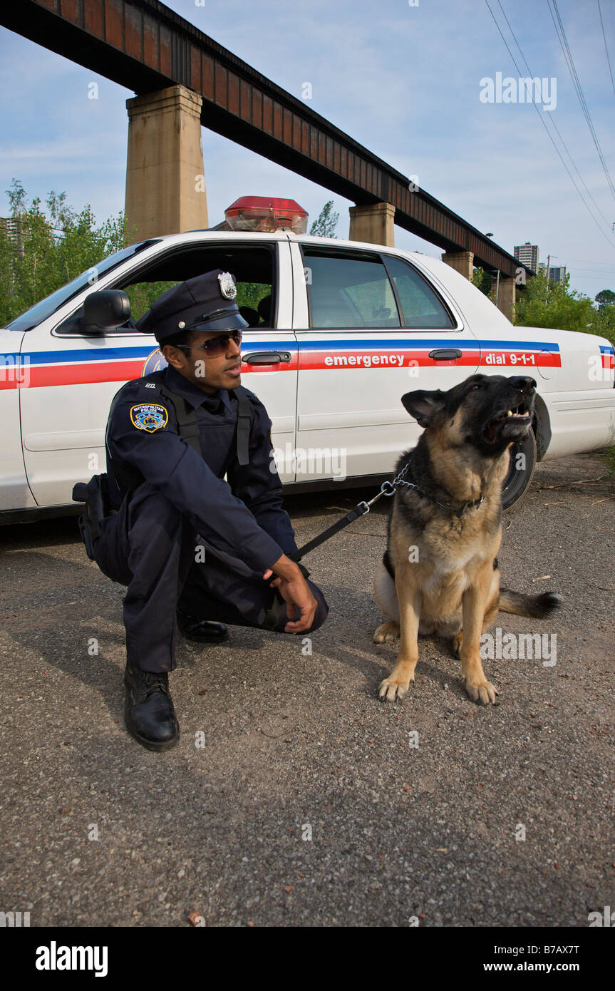 Portrait of Police Officer With Police Dog Stock Photo