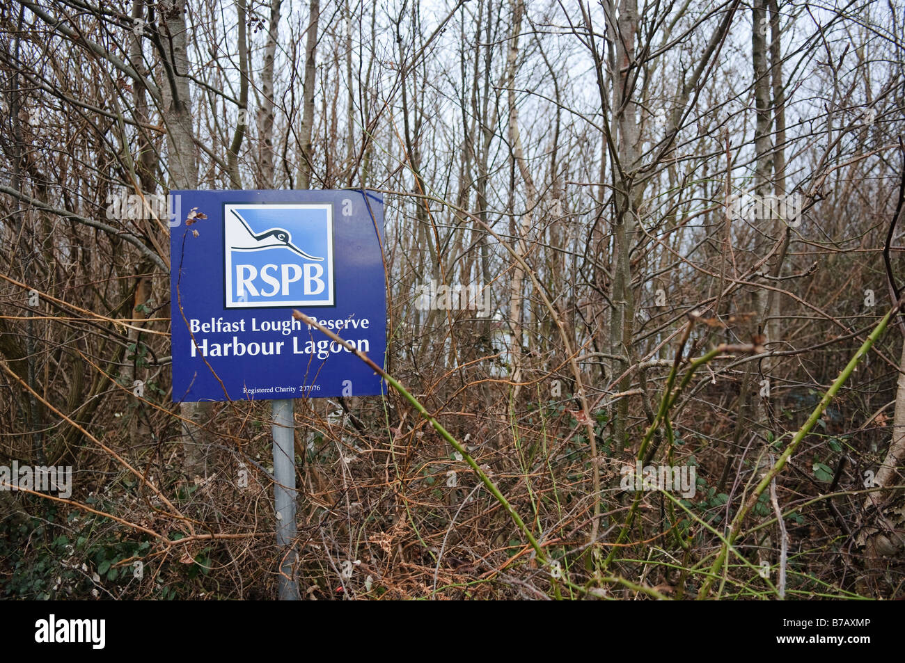 Sign at the RSPB Reserve, Belfast Lagoon at Belfast Lough. Stock Photo