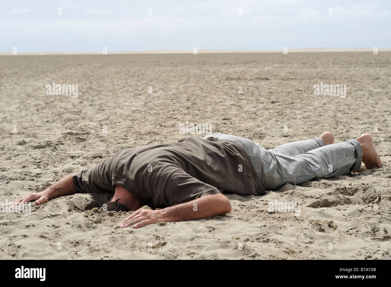 Head Buried In Sand Images Goimages Signs