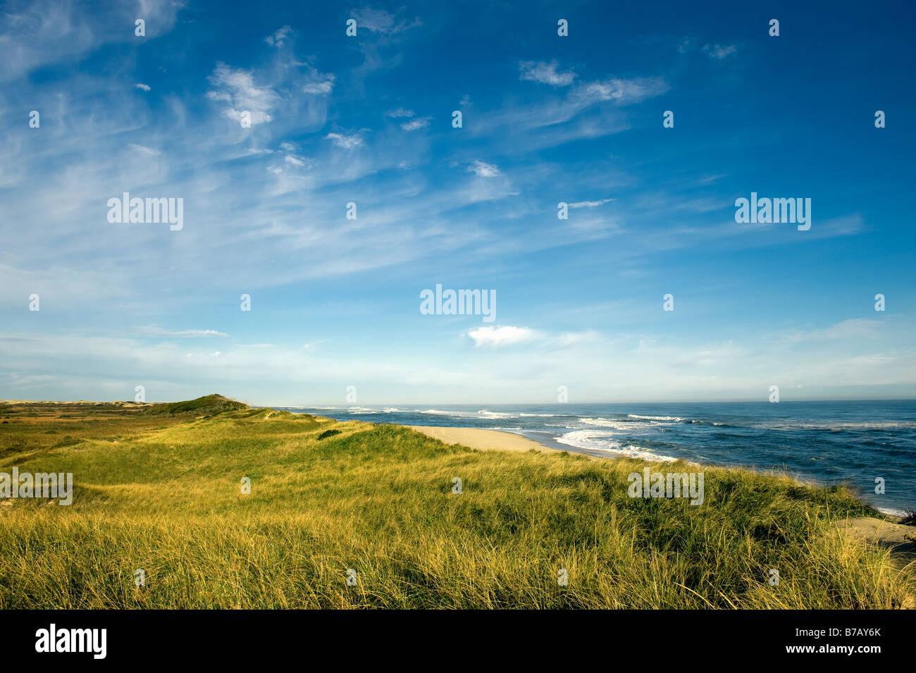 Head of Meadow Beach Truro Cape Cod MA Stock Photo Alamy