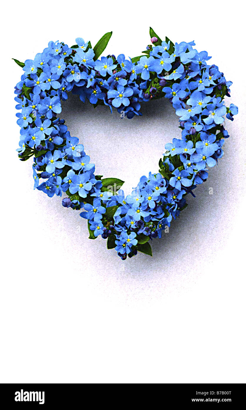 vintage heart made of forget-me-not flowers Stock - Alamy