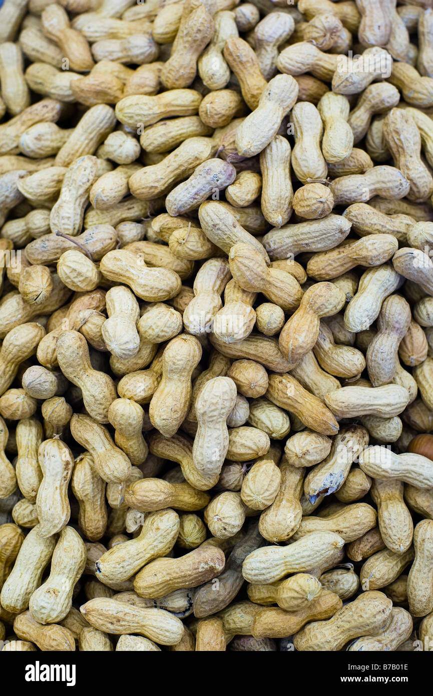 Peanuts Stock Photo