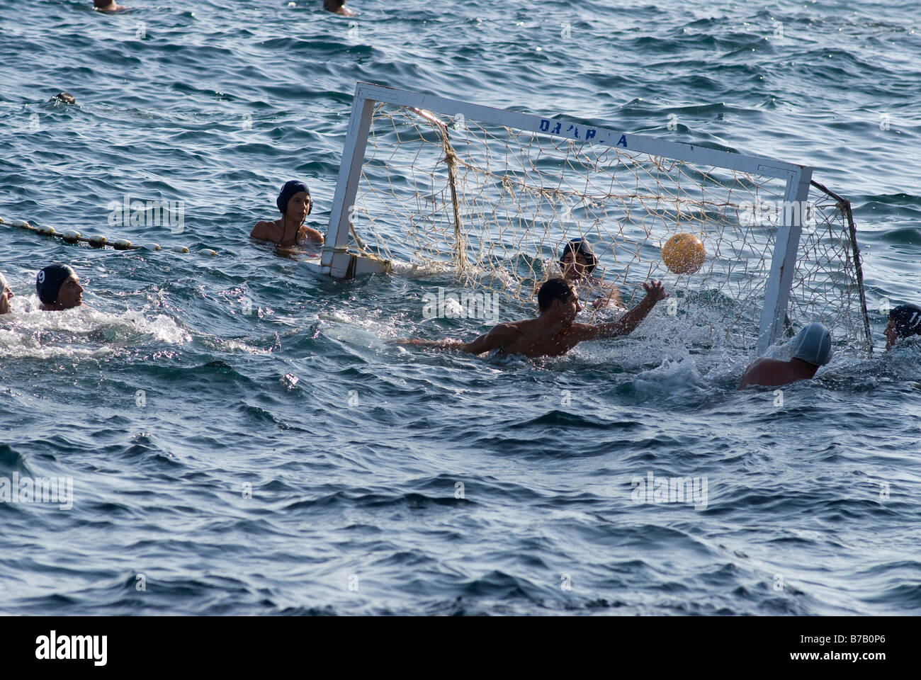 Water polo players, Dubrownik, Croatia Stock Photo Alamy