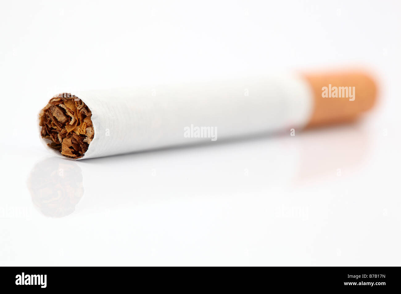 on cigarette with reflection focus on tobacco on white background Stock Photo