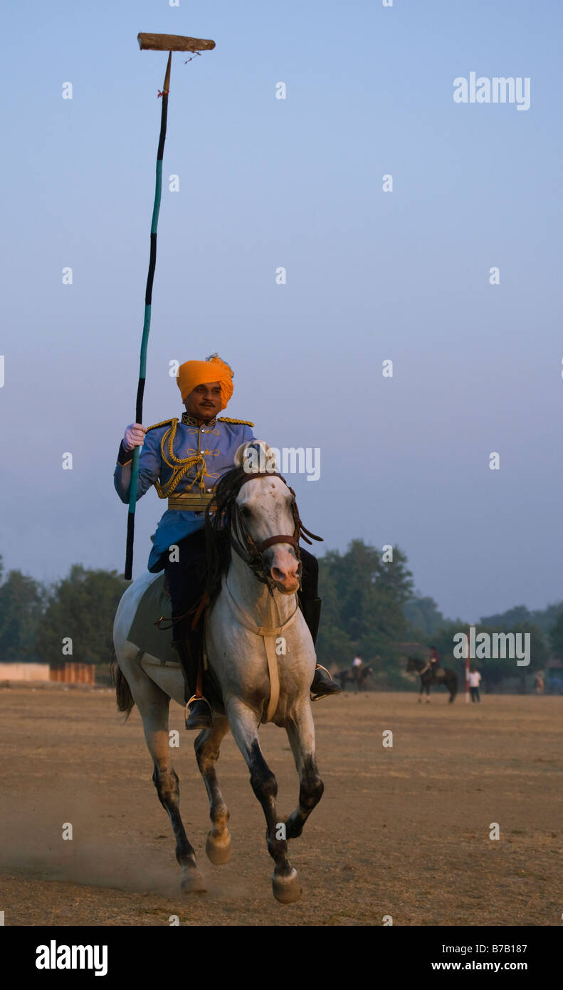 Horse India curved ears exotic Asia Asian Indian Stock Photo Alamy