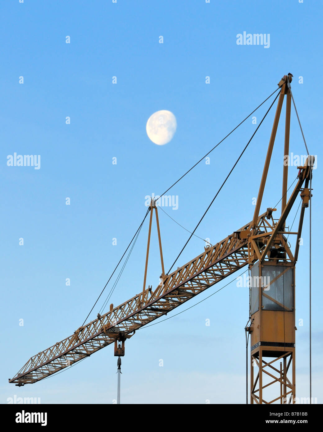 Crane humain profil Banque de photographies et d'images à haute résolution  - Alamy