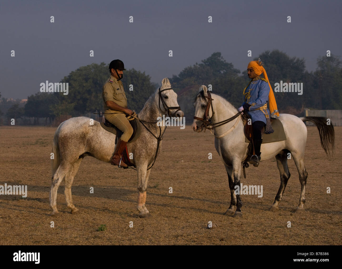 Horse India curved ears exotic Asia Asian Indian Stock Photo Alamy