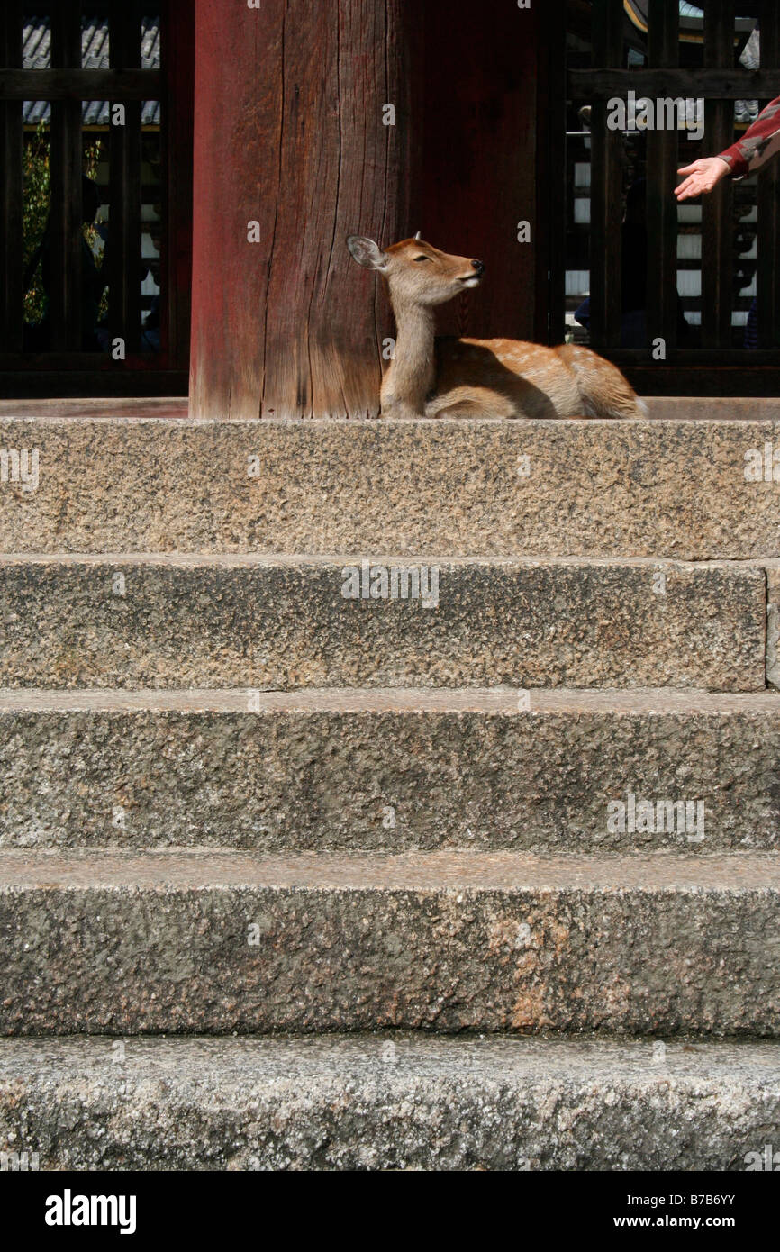 Outreaching hand hi-res stock photography and images - Alamy