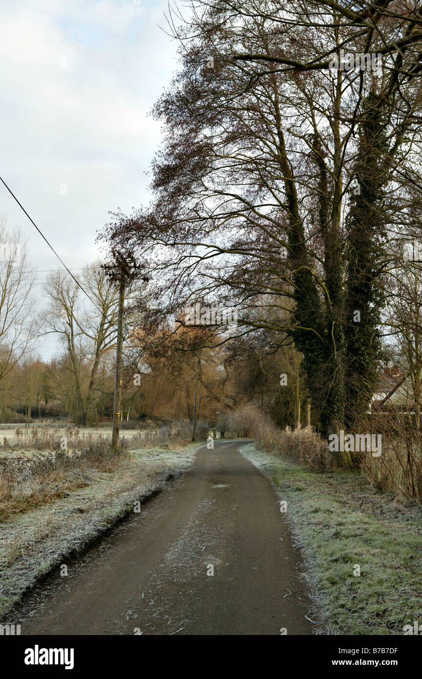 countryside small road in december with frost visable after cold night ...
