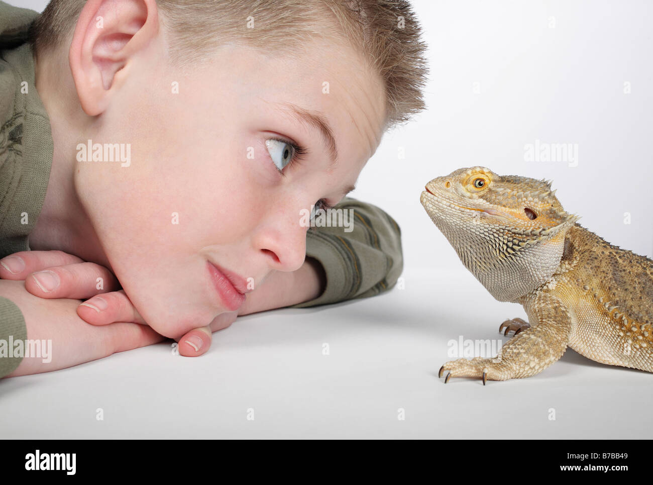 close-up of little boy admiring pet lizard Stock Photo