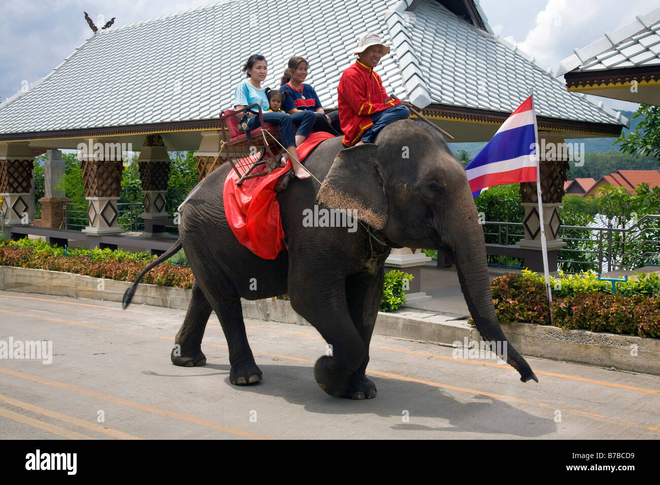 Pleasure riders   Tourists Elephant riding at Huaymongkol, Southern Thailand, Asia Stock Photo