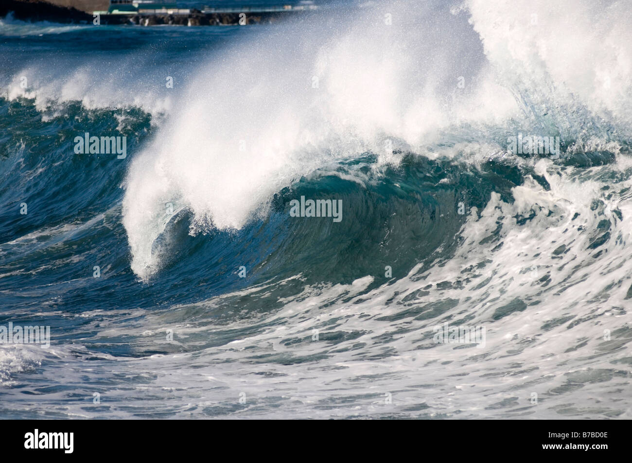 White Horses Sea Waves