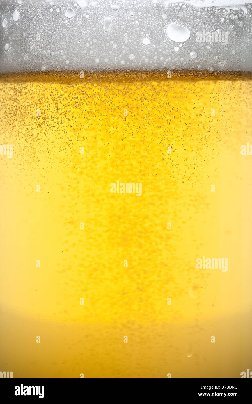 Beer bubbles Stock Photo