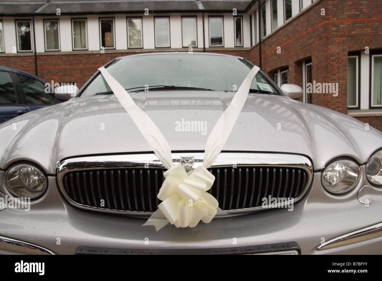 Car ribbon hi-res stock photography and images - Alamy