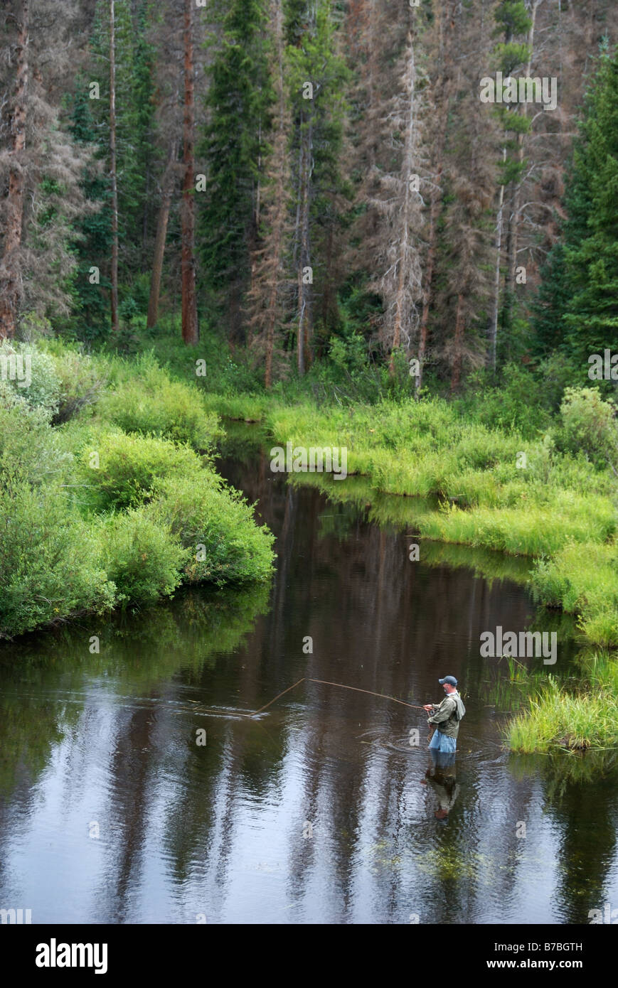 a fly fisherman casts to rising brook trout in northern colorado Stock Photo