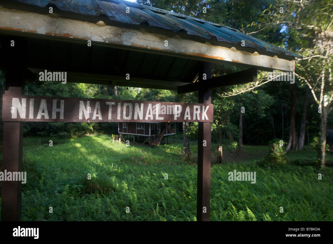 Niah National park holds Niah caves a large maze of caves which was were the oldest human remains were found in South east asia Stock Photo