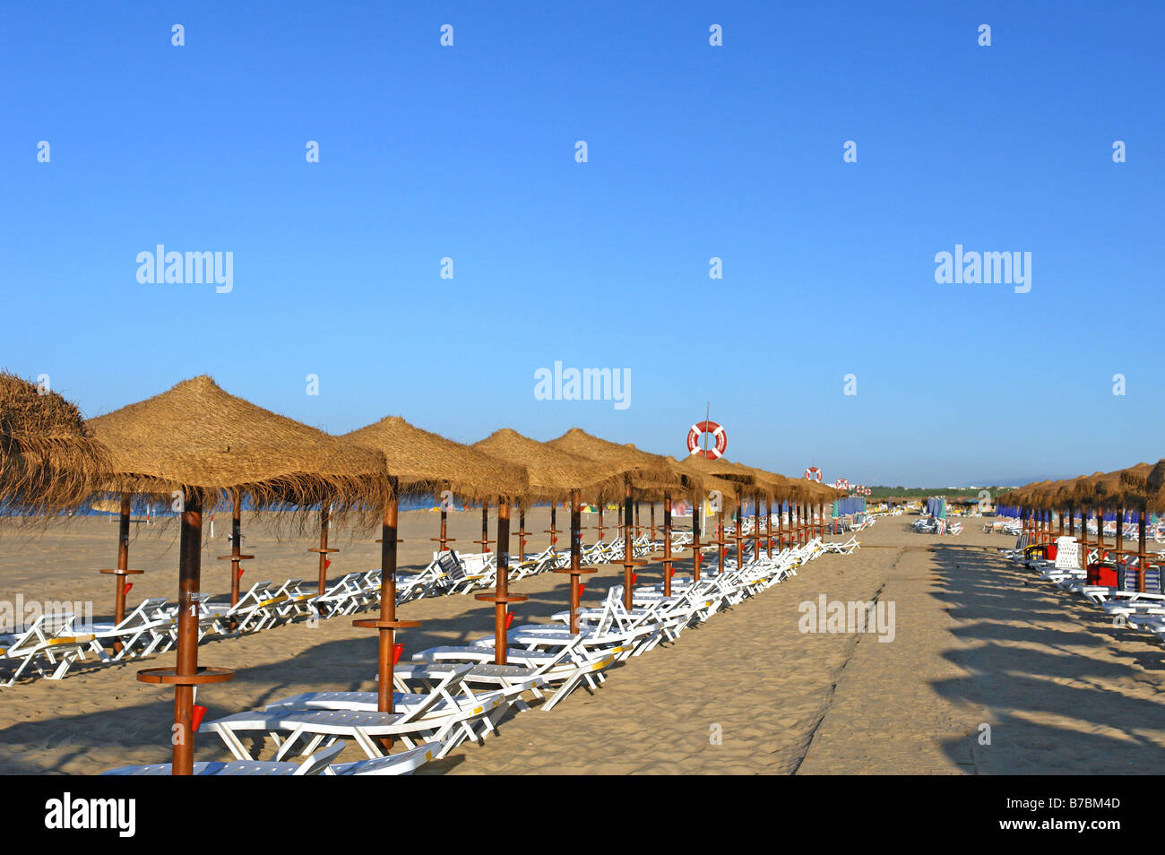 Line of parasol and chairs at the beach Stock Photo