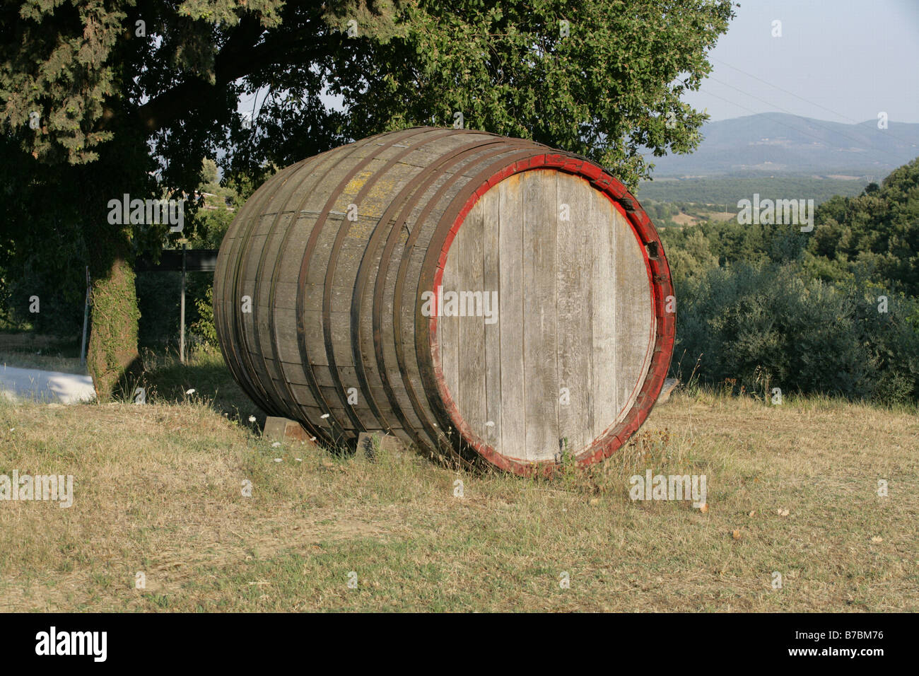 giant wine barrel Stock Photo Alamy
