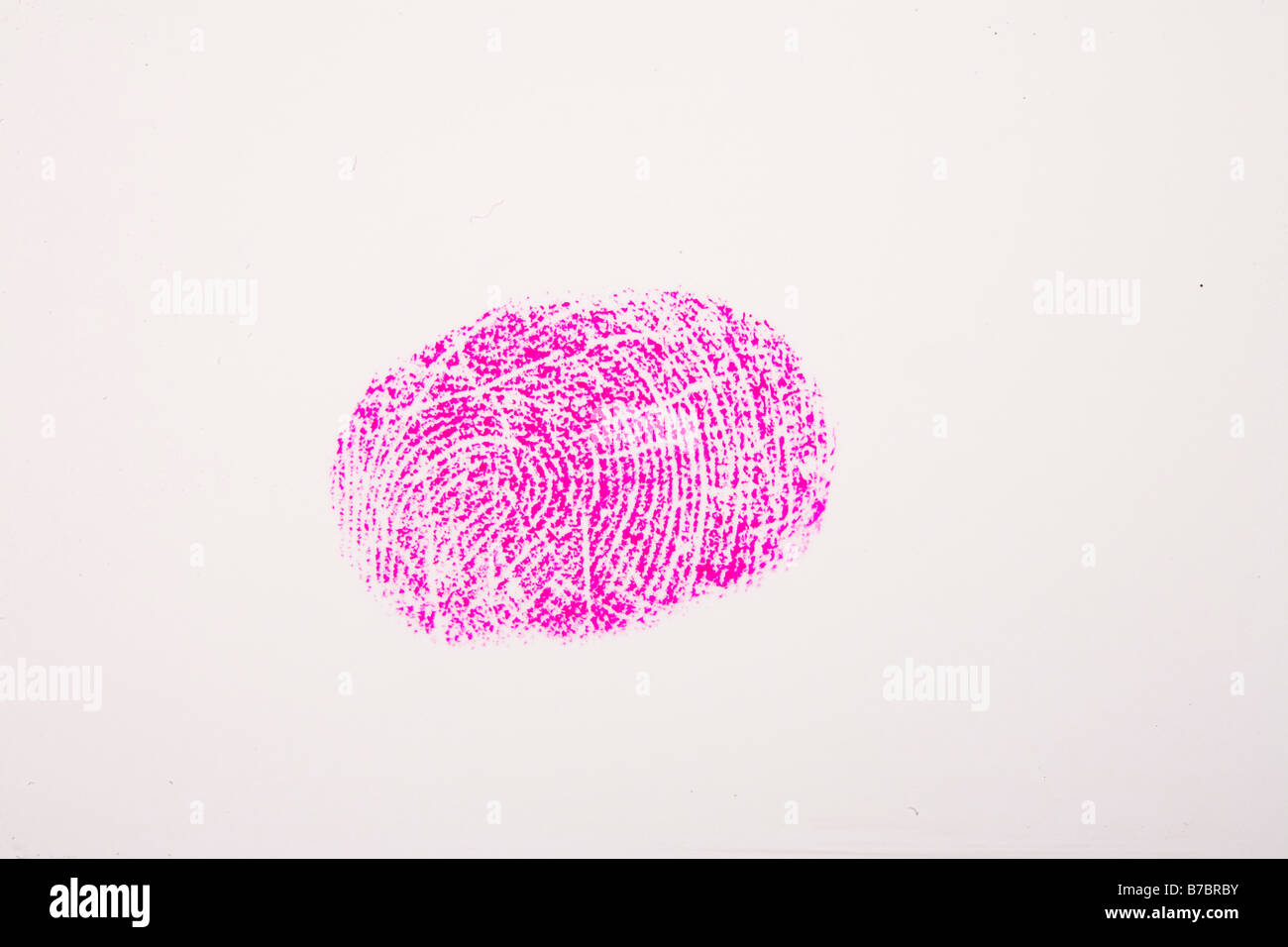 Fingerprint whorl Stock Photo