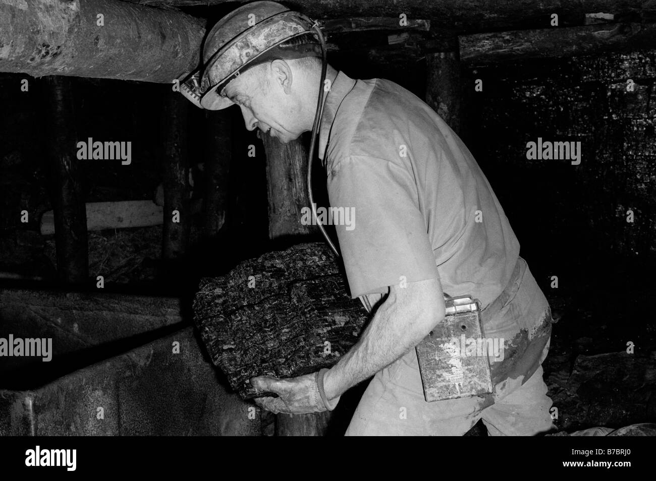 Miner carrying lump of coal to tram underground at Blaencuffin coal mine a privately owned drift mine on a mountainside above Pontypool South Wales UK Stock Photo