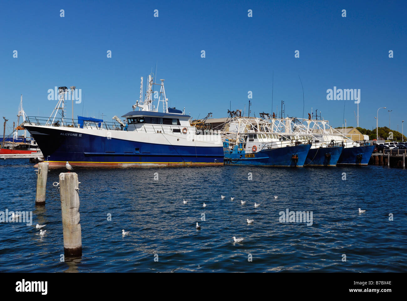 Fishing harbour Fremantle Western Australia Stock Photo Alamy