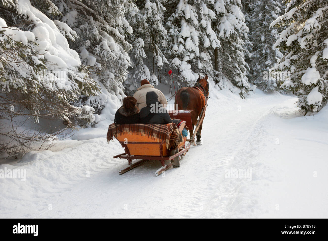 Sleigh ride in winter scenery, Tatra Mountains, Poland Stock Photo