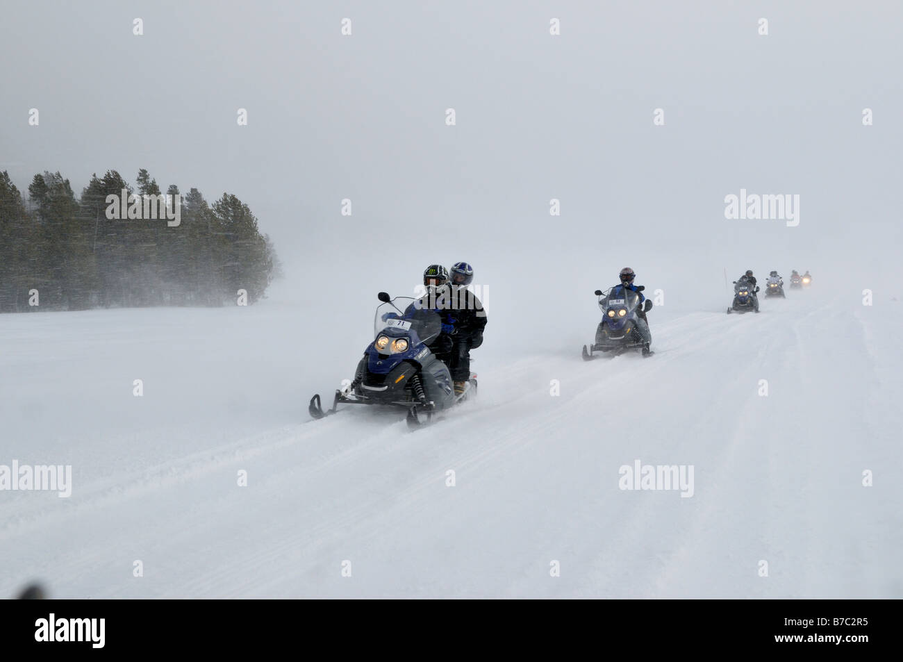 Snowmobilers travel in winter storm. Yellowstone National Park, Wyoming, USA. Stock Photo