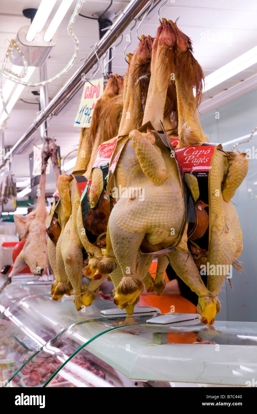 Poultry on butcher counter in the Mercat de la Boqueria Stock Photo