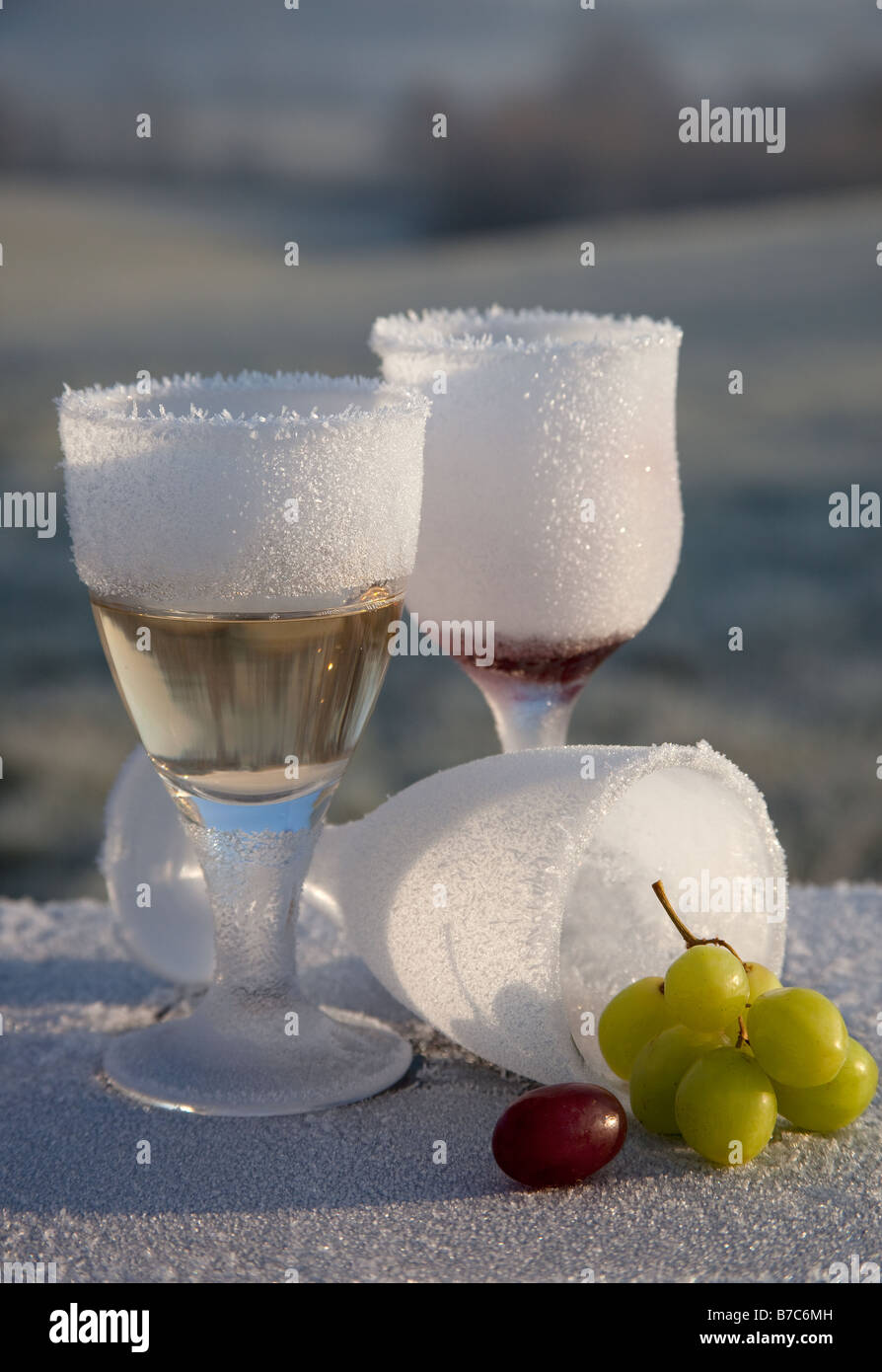 Morning-after-night-before frosted and broken wine glass party remains in frozen countryside UK Stock Photo