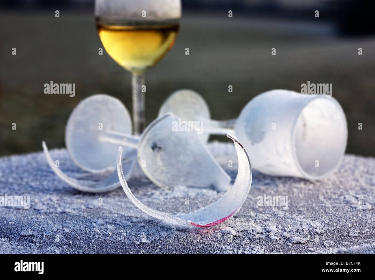 Morning-after-night-before frosted and broken wine glass party remains in frozen countryside UK Stock Photo