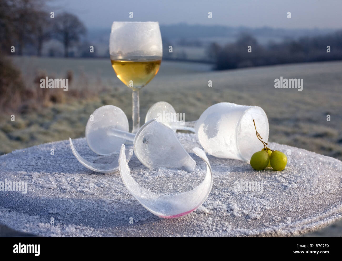 Morning-after-night-before frosted and broken wine glass party remains in frozen countryside UK Stock Photo