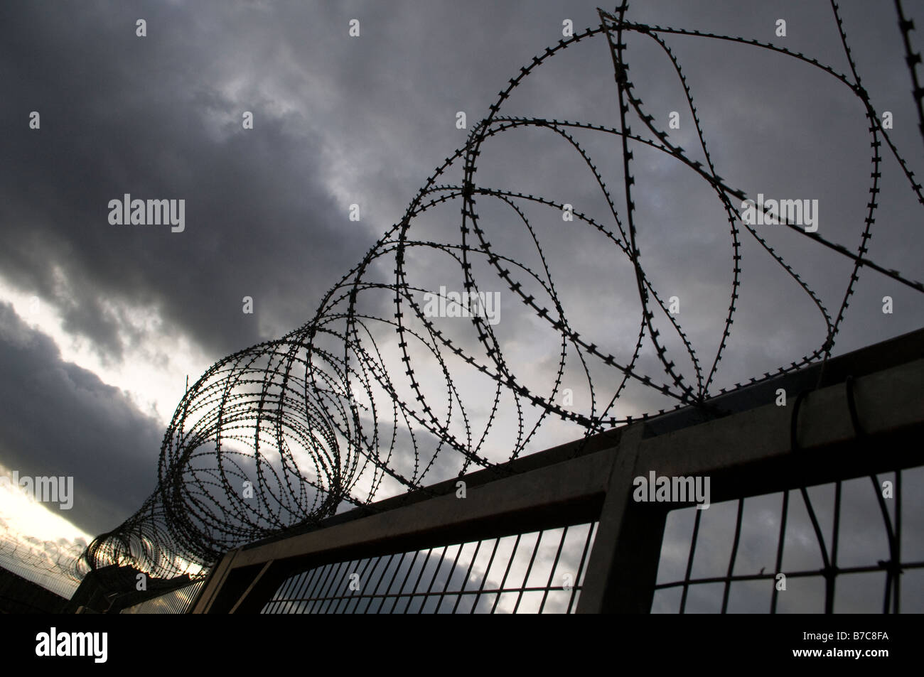 Coiled barbed wire fence between Northern Gaza strip and Netiv Haasara Jewish settlement, Southern Israel Stock Photo