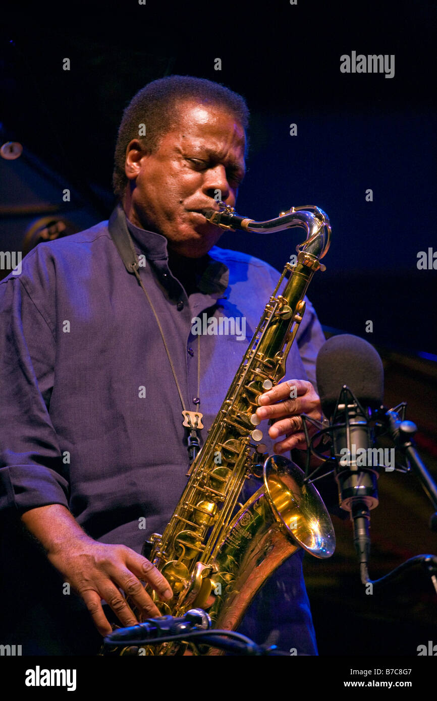 Wayne 2024 shorter saxophone